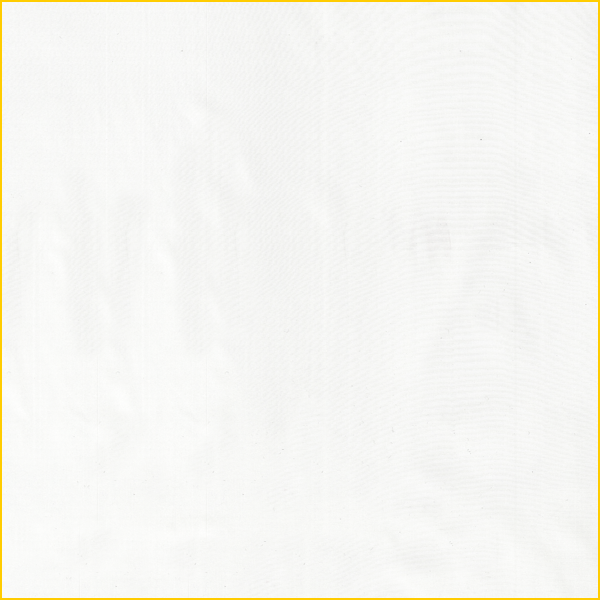 9666