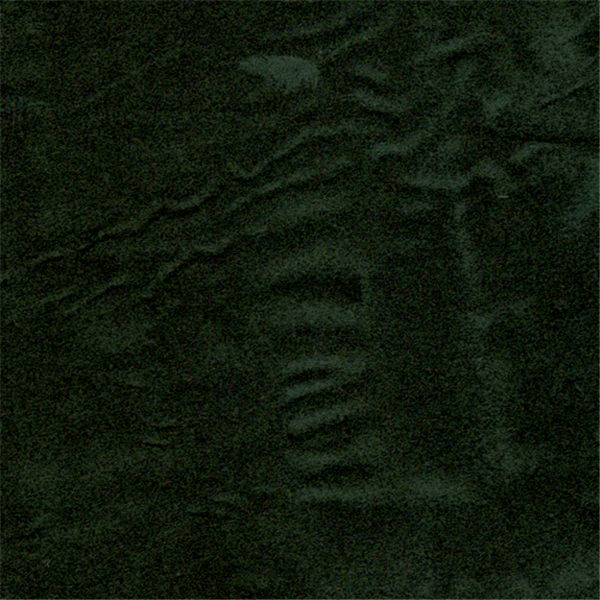 AS0009