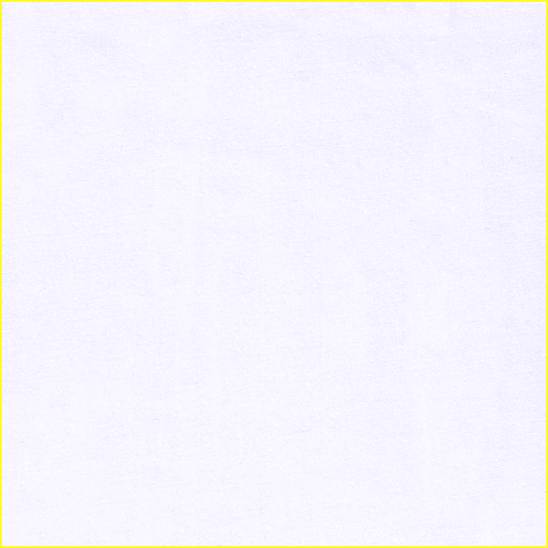 BW0351
