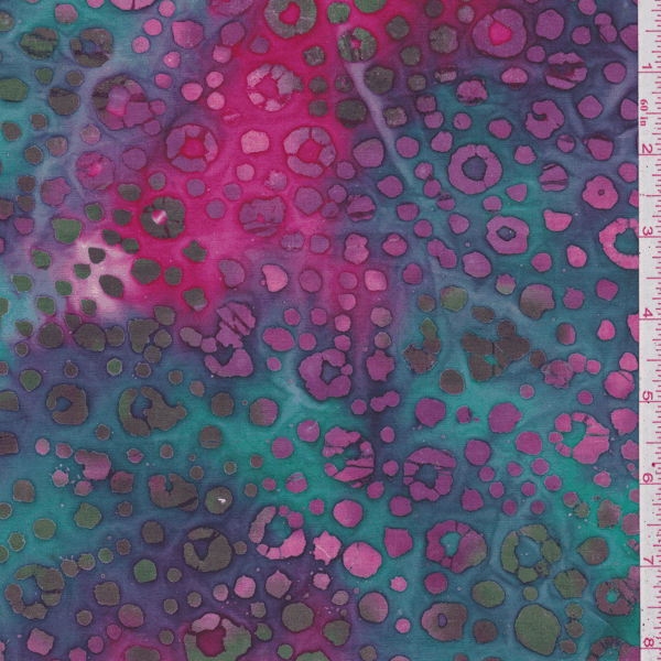 CAS168