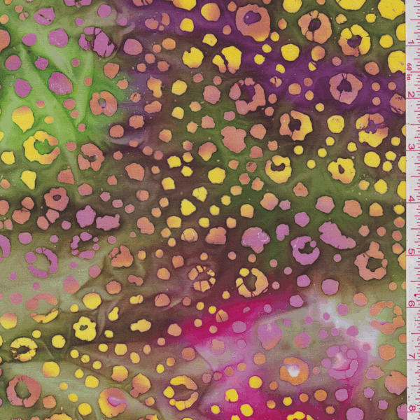 CAS169