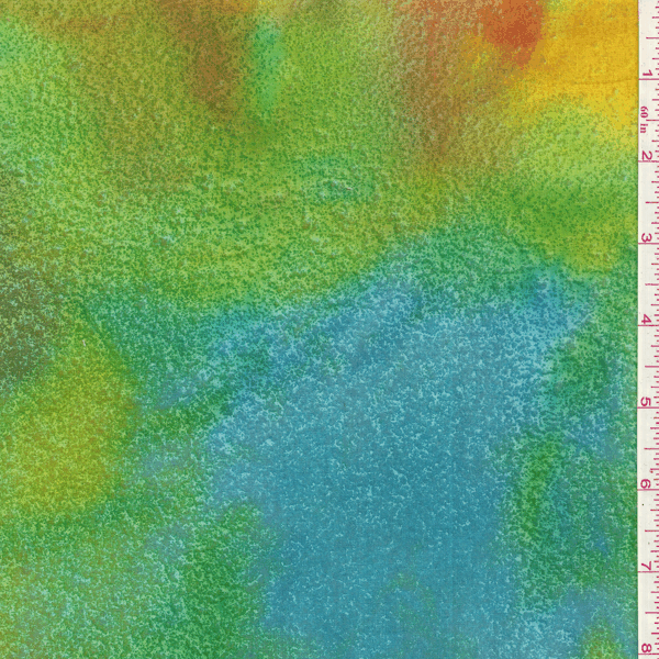 CSS011