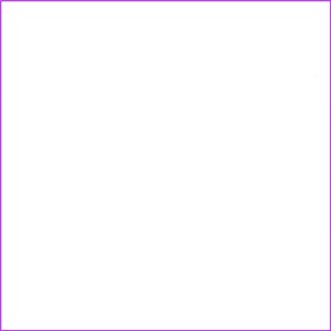 DS0101