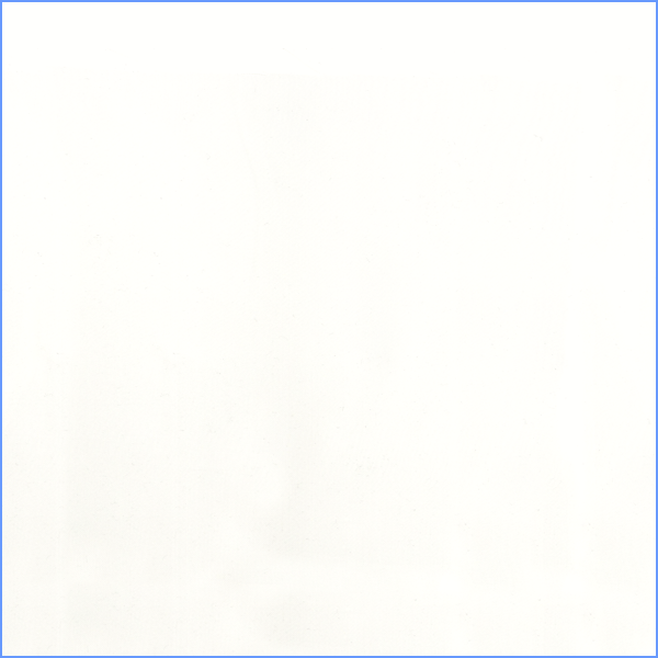 Ivory Sheer Solid Bolt DS1216