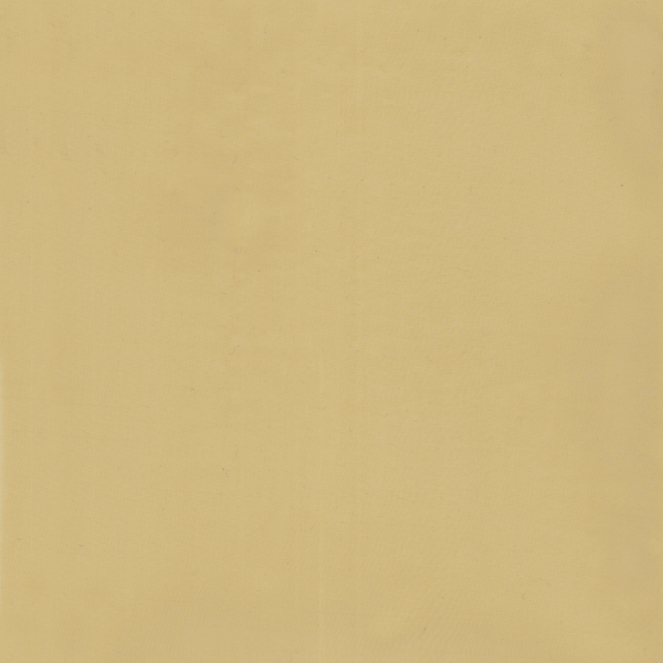 DS1224