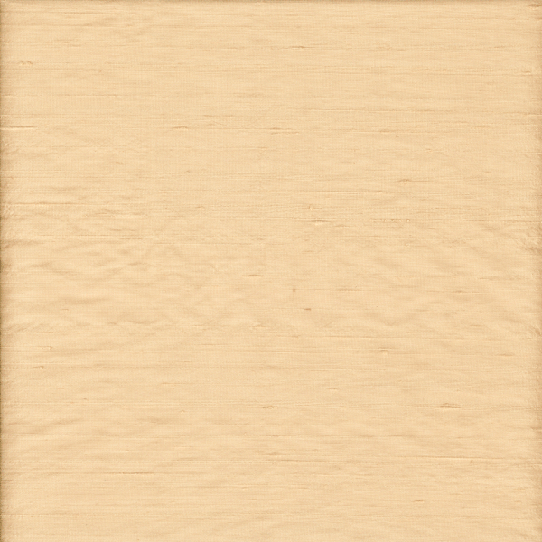 Sand Silk Dupioni DU04