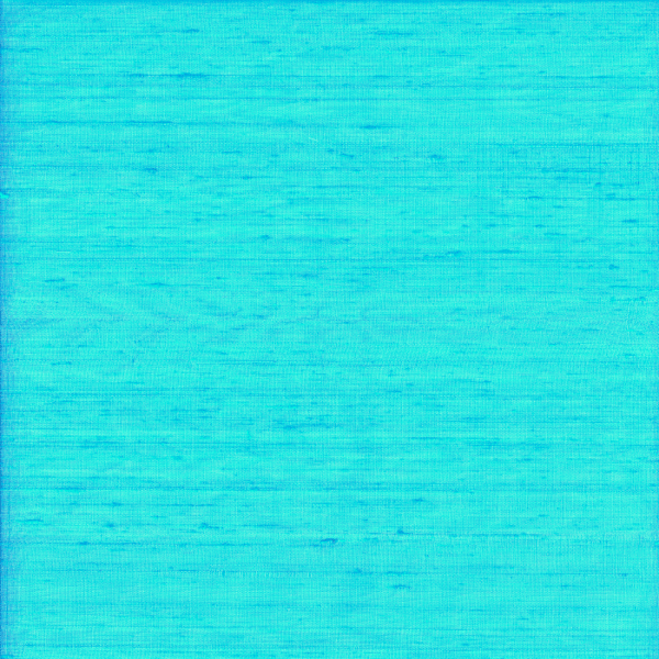 Aqua Silk Dupioni DU13