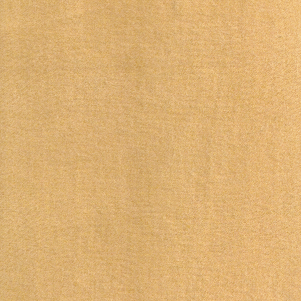 EEE234