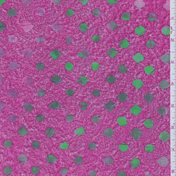 ELV019