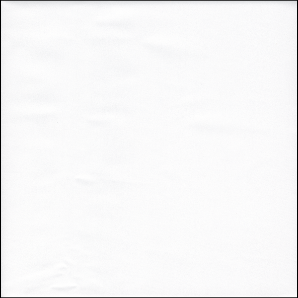 FS01