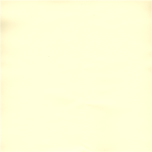 FS03