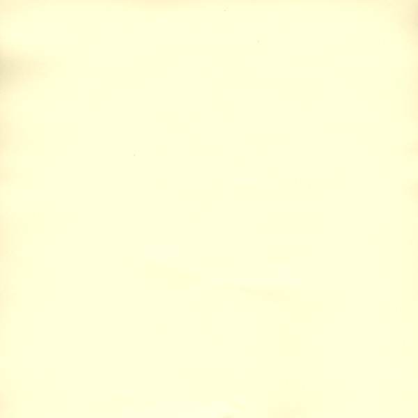 FS03