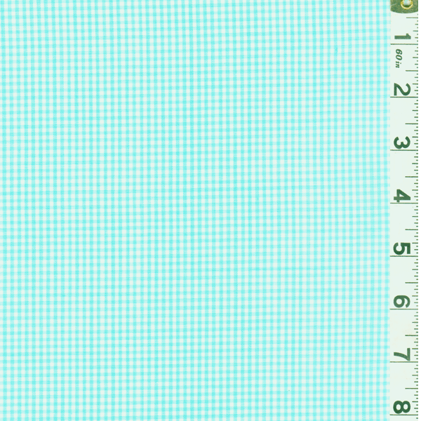 Mint 1/16 Inch Gingham GC1611