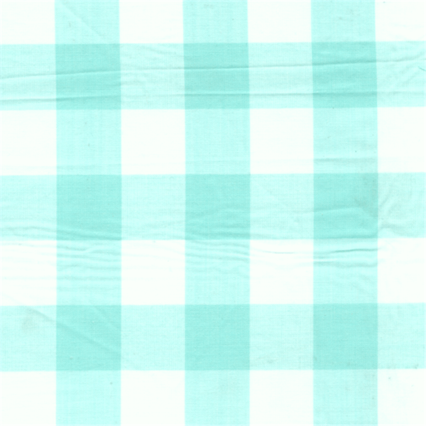 *1 YD PC--Mint 1 Inch Gingham