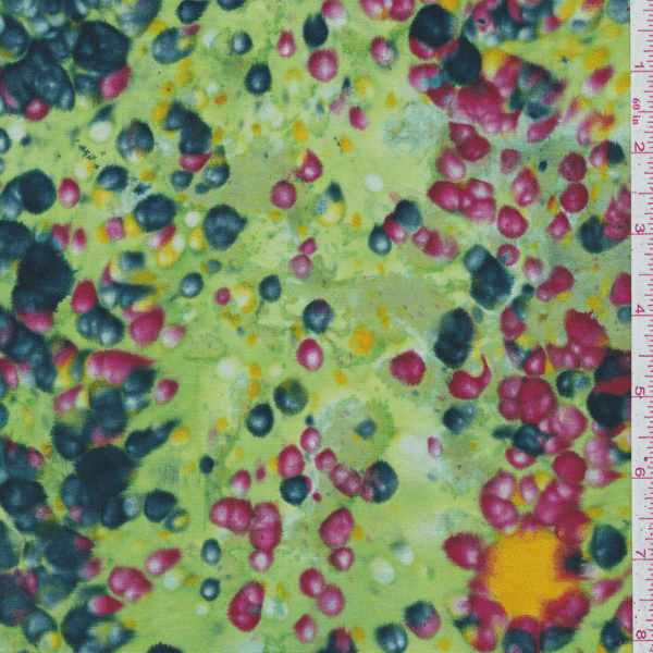 IO046