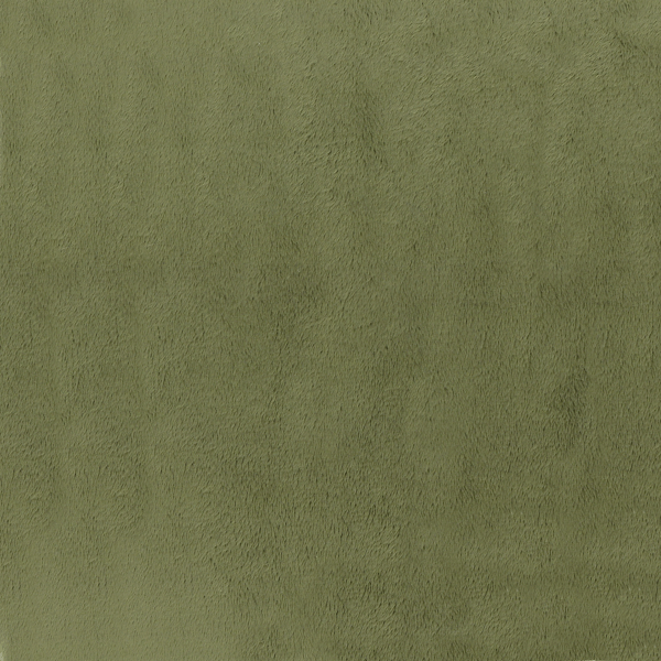 Loden New Minky MY0047