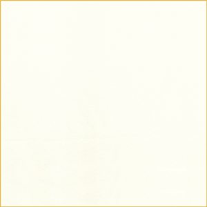 NI0013