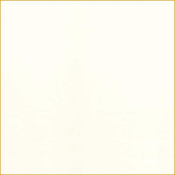 Bright Gold Tulle Bolt NI0013