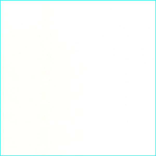 Ivory Tulle Bolt NI0016
