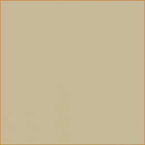 NI0024