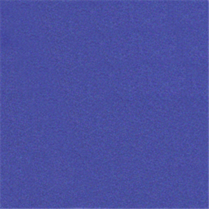 NL0008