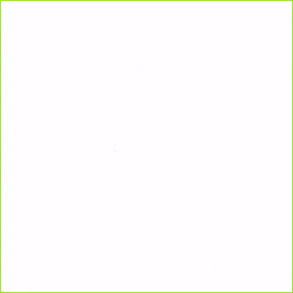 10055