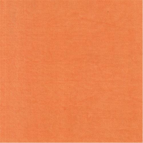 Orange Slinky 40028X