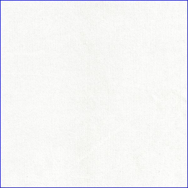 10061
