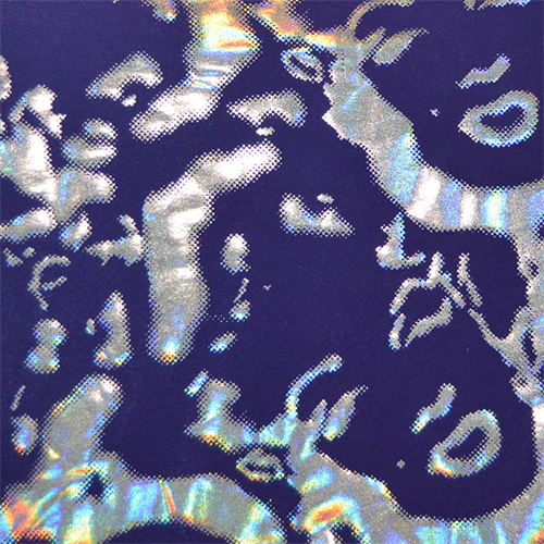 Deep Purple/Silver Face Activewear