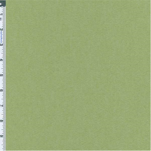 Green Crossdye Canvas 55429