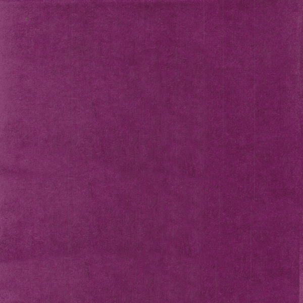 10067