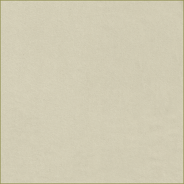16919