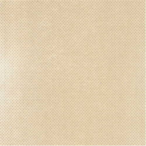 Designer Ecru Ivory Griffin Chenille Home Decorating Fabric DFW50842