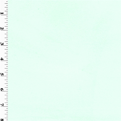 Double Sided Sweatshirt Fleece - Icy Teal DFW10057
