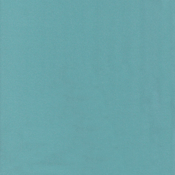 17312