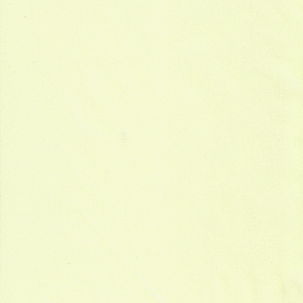 17315
