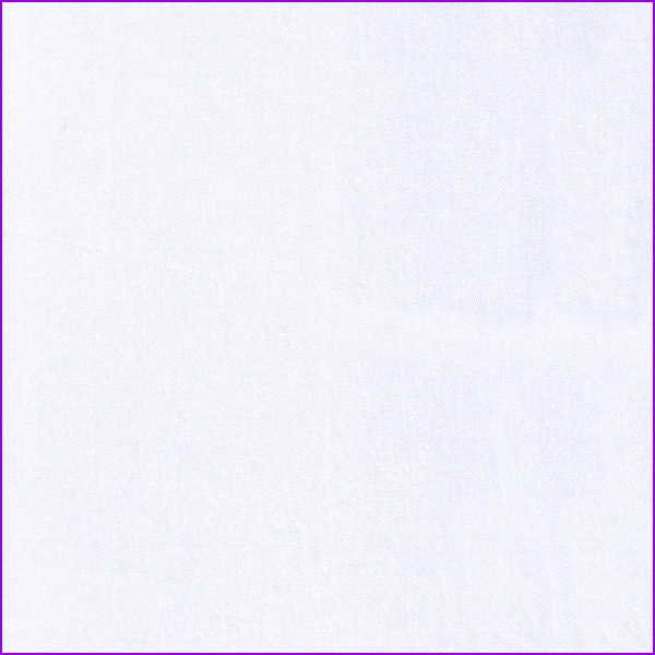 17329