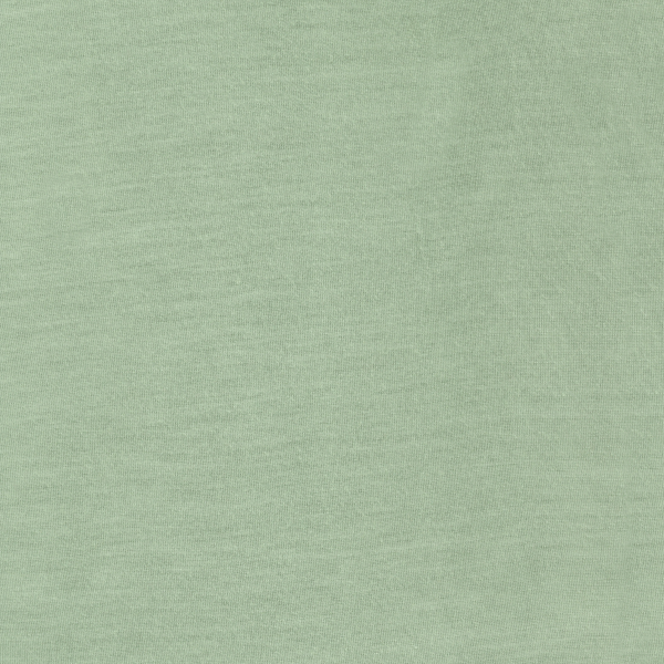 Pale Green T-Shirt Knit 17468