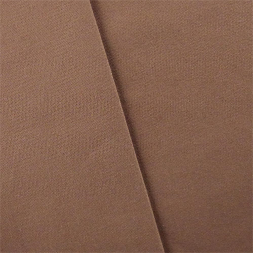 Sienna Brown Indoor/Outdoor Canvas Decorating Fabric DFW52369
