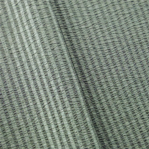 DFW52555