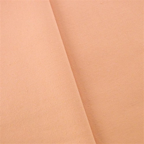 Peach Pink Indoor/Outdoor Canvas Decorating Fabric DFW52618