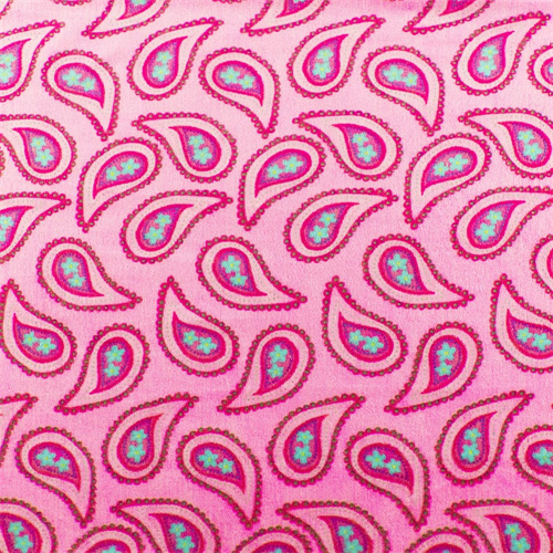 Pink/Multi Paisley Minky DFW10654