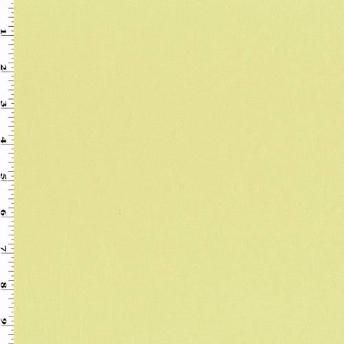 Chartreuse Green Canvas Indoor/Outdoor Decorating Fabric DFW54294