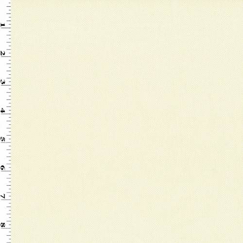 Creamy Ivory Indoor/Outdoor Canvas Home Decorating Fabric DFW54597