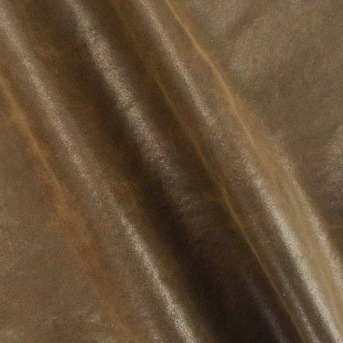 DFW55667