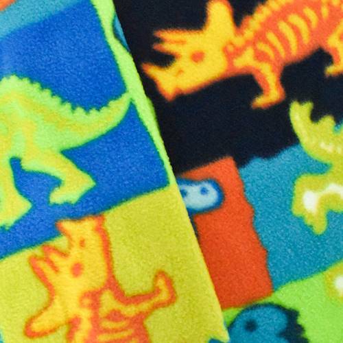 Green/Orange Multicolor Dinosaur Printed Fleece DFW11000