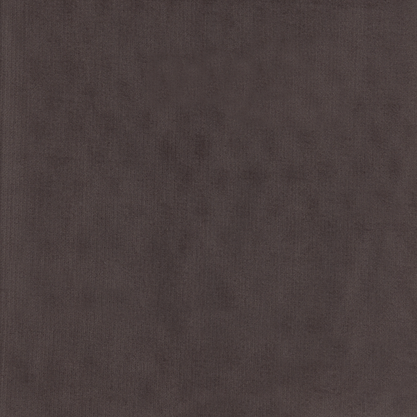 10081