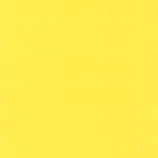 18319