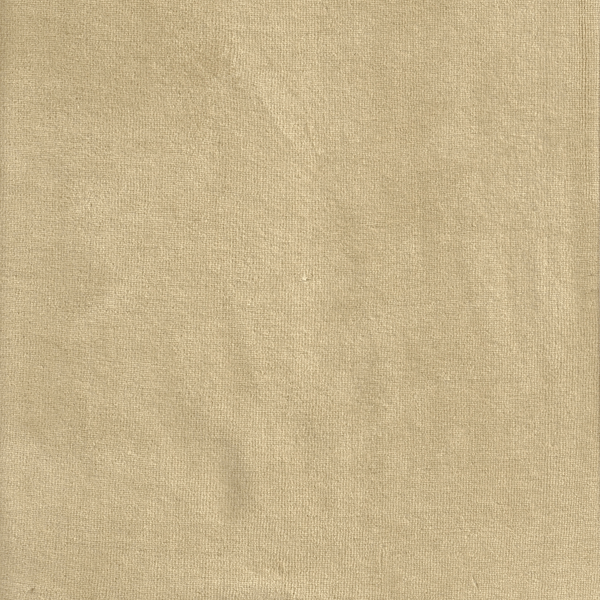 18369