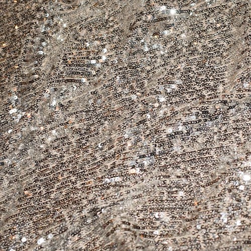 Metallic Silver/Beige Famous Designer Sequined Mesh APS0053